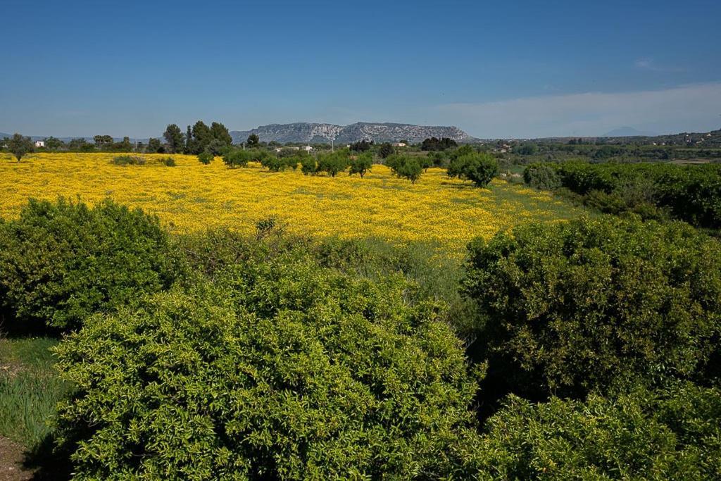 Farm Stay La Frescura Agriturismo Syracuse Екстер'єр фото